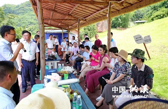国家级媒体聚焦我区清溪河小流域治理